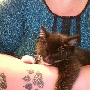 Meet your Posher, Sandy